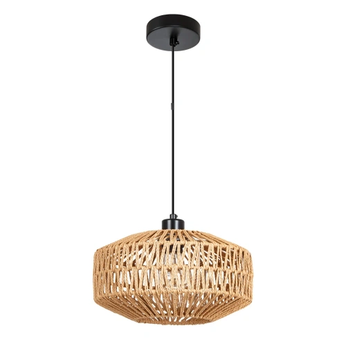 Подвесной светильник Arte Lamp BRUSHWOOD A7087SP-1BK Подвесной светильник Arte Lamp BRUSHWOOD A7087SP-1BK