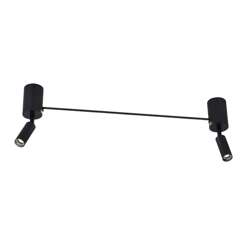 Спот Arte Lamp RASALAS A2219PL-2BK Спот Arte Lamp RASALAS A2219PL-2BK