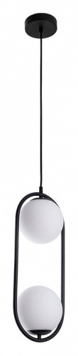 Подвесной светильник Arte Lamp MATISSE A7745SP-2BK фото 2 Подвесной светильник Arte Lamp MATISSE A7745SP-2BK фото 2