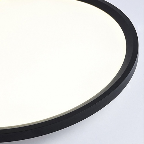 Потолочный светильник EXTRASLIM D100 Black фото 26 Потолочный светильник EXTRASLIM D100 Black фото 26