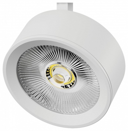 Плафон металлический Lightstar Alta Pro 215636