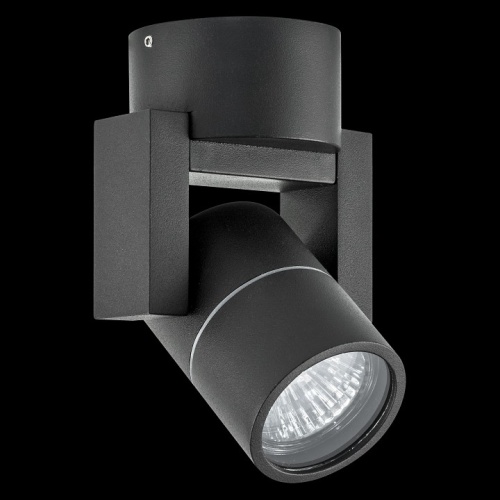 Светильник на штанге Lightstar Illumo L1 051047-IP65 фото 2