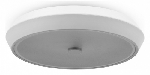 Накладной светильник Freya Cells FR10012CL-L24W Накладной светильник Freya Cells FR10012CL-L24W