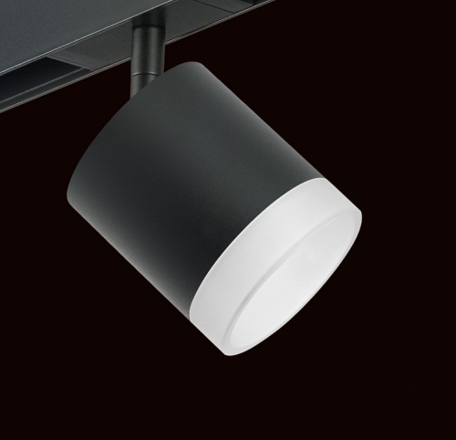 Светильник на штанге Lightstar Rullo PRO348780 фото 4