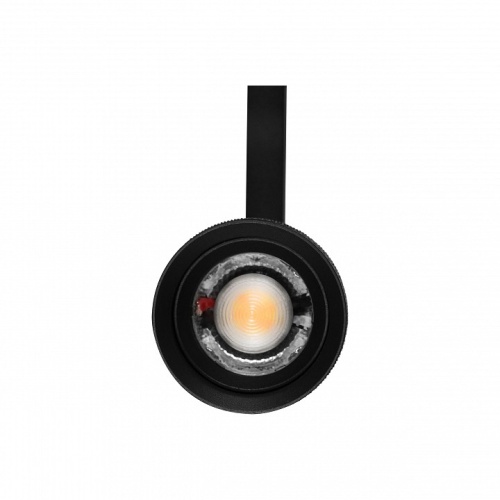 Светильник на штанге Lightstar Canno Pro 304127 фото 2