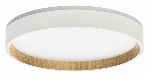 Накладной светильник Citilux Etalon CL750240 Накладной светильник Citilux Etalon CL750240
