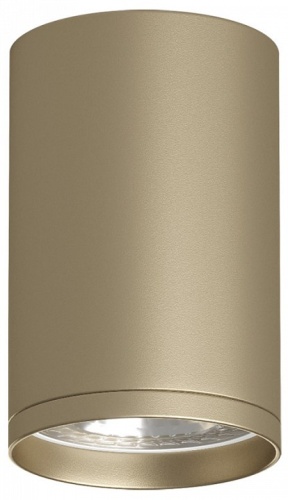 Накладной светильник Denkirs TUBE DK2050-SG Накладной светильник Denkirs TUBE DK2050-SG