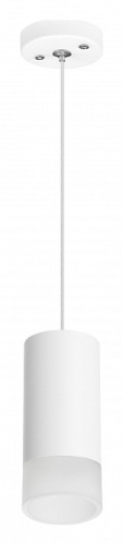 Подвесной светильник Lightstar Rullo RP43631 фото 2
