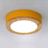 Потолочный светильник WUDDA D40 Желтый