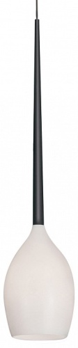 Подвесной светильник Lightstar Meta 807110 Подвесной светильник Lightstar Meta 807110