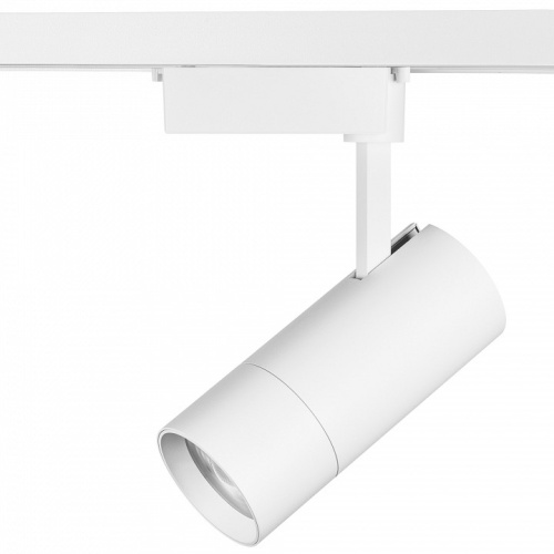 Светильник на штанге Lightstar Volta 229346 фото 3