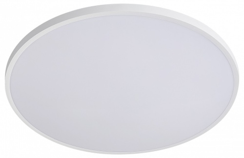 Накладной светильник Lightstar Arco Eco 225751 Накладной светильник Lightstar Arco Eco 225751