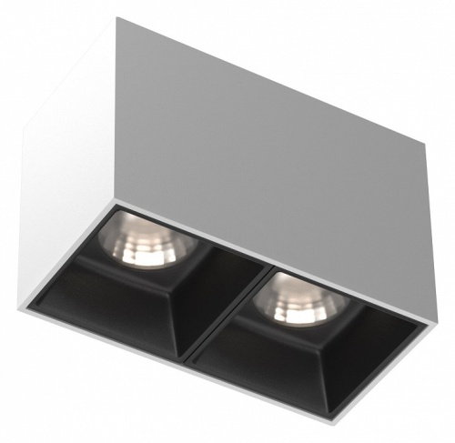 Накладной светильник Maytoni Technical Alfa LED C065CL-02-L12W4K-W