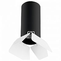 Накладной светильник Lightstar Rullo R487436