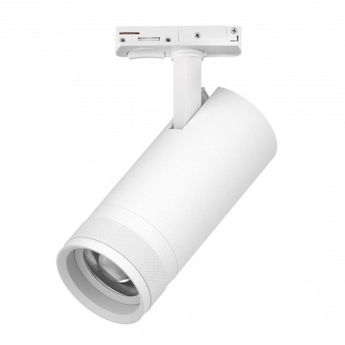 Светильник на штанге Lightstar Canno Pro C4206SS фото 2 Светильник на штанге Lightstar Canno Pro C4206SS фото 2