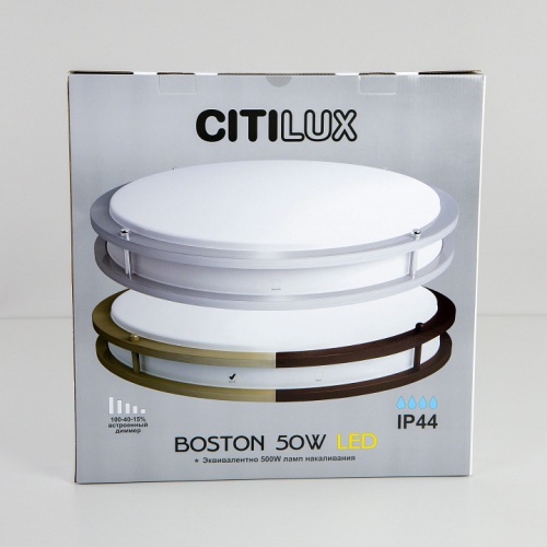 Накладной светильник Citilux Бостон CL709503N фото 11