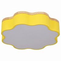 Накладной светильник Escada FLORET 10208/1LED (Yellow)