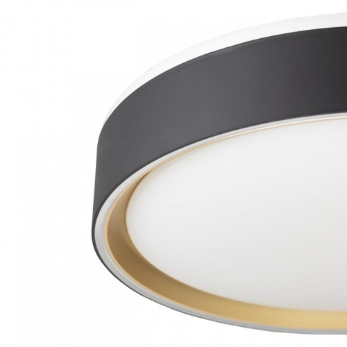 Накладной светильник Citilux BOSS CL751251G фото 12 Накладной светильник Citilux BOSS CL751251G фото 12