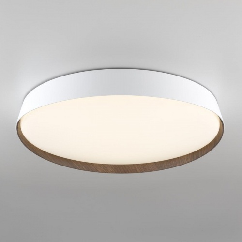 Накладной светильник Citilux BONNY CL754450G фото 6