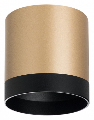 Накладной светильник Lightstar Rullo R34903487 Накладной светильник Lightstar Rullo R34903487