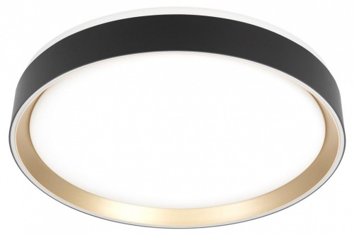 Накладной светильник Citilux BOSS CL751351G Накладной светильник Citilux BOSS CL751351G