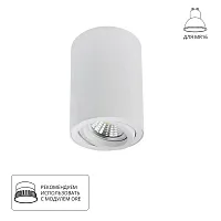 Точечный накладной светильник Arte Lamp SENTRY A1566PL-1WH