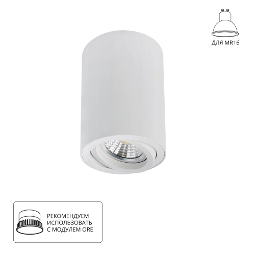 Точечный накладной светильник Arte Lamp SENTRY A1566PL-1WH Точечный накладной светильник Arte Lamp SENTRY A1566PL-1WH