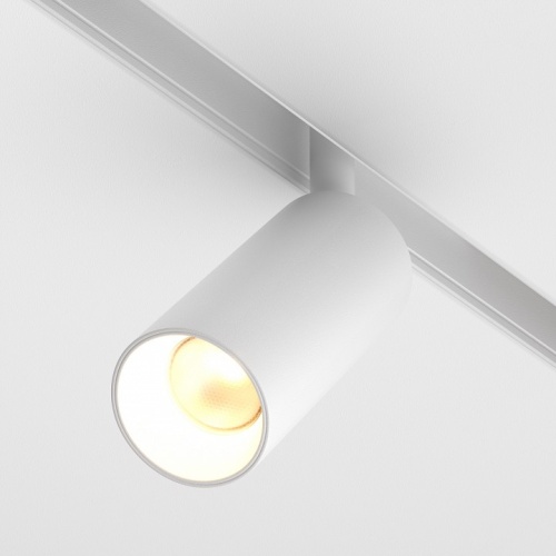 Светильник на штанге Maytoni Technical Focus LED TR032-2-5W3K-S-W фото 2 Светильник на штанге Maytoni Technical Focus LED TR032-2-5W3K-S-W фото 2