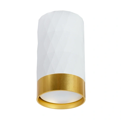 Точечный накладной светильник Arte Lamp FANG A5558PL-1WH Точечный накладной светильник Arte Lamp FANG A5558PL-1WH