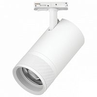 Светильник на штанге Lightstar Canno Pro C4406SS