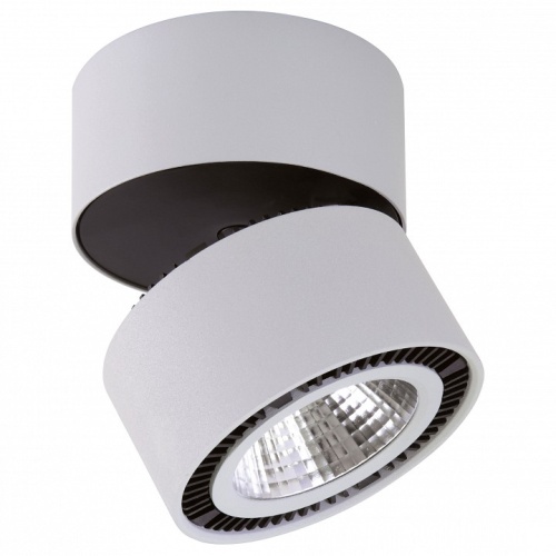 Накладной светильник Lightstar Forte Muro 214830