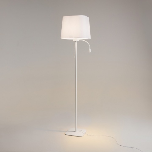 Торшер с подсветкой Maytoni Farel Z001FL-L3W-1W фото 3