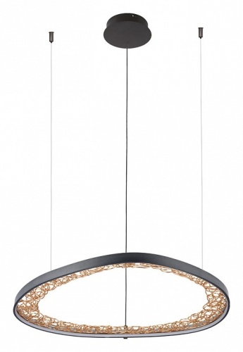 Подвесная люстра Arte Lamp CINTA A1847SP-46BK фото 2 Подвесная люстра Arte Lamp CINTA A1847SP-46BK фото 2