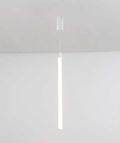 Подвесной светильник Maytoni Technical Ray P022PL-L10W фото 2