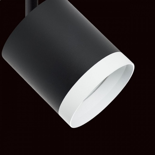 Светильник на штанге Lightstar Rullo R1T34873486 фото 4