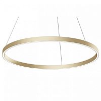 Подвесной светильник Maytoni Rim MOD058PL-L42BSK