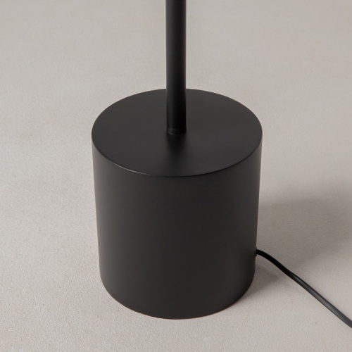 Торшер Maytoni Evolution MOD396FL-L10W3K фото 11