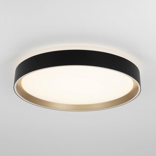 Накладной светильник Citilux BOSS CL751351G фото 3 Накладной светильник Citilux BOSS CL751351G фото 3