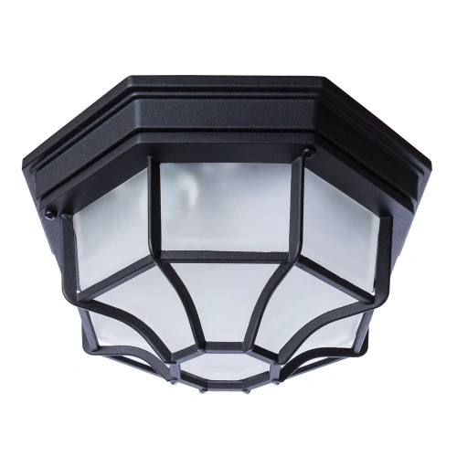 Уличный потолочный светильник Arte Lamp PEGASUS A3100PL-1BK Уличный потолочный светильник Arte Lamp PEGASUS A3100PL-1BK