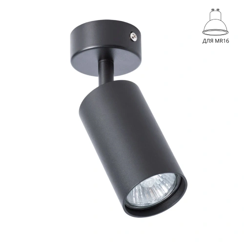 Спот Arte Lamp AQUARIUS A3216PL-1BK Спот Arte Lamp AQUARIUS A3216PL-1BK