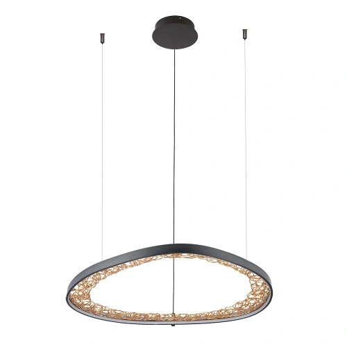 Подвесная люстра Arte Lamp CINTA A1847SP-46BK Подвесная люстра Arte Lamp CINTA A1847SP-46BK