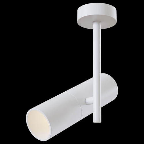 Светильник на штанге Maytoni Technical Elti C020CL-01W фото 2 Светильник на штанге Maytoni Technical Elti C020CL-01W фото 2