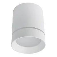 Точечный накладной светильник Arte Lamp ELLE A1909PL-1WH