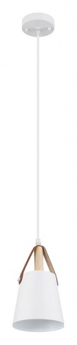 Подвесной светильник Arte Lamp THOMAS A7032SP-1WH фото 2 Подвесной светильник Arte Lamp THOMAS A7032SP-1WH фото 2