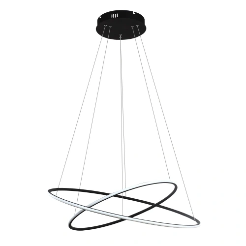 Подвесная люстра Arte Lamp RAPID A2500SP-2BK