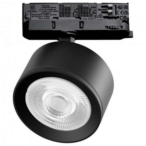 Светильник на штанге Lightstar Alta Pro A5537QT60G