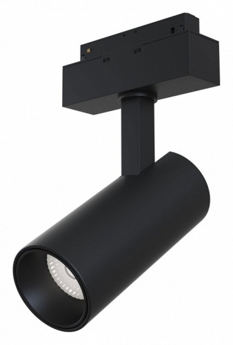 Светильник на штанге Maytoni Track lamps TR019-2-15W4K-B Светильник на штанге Maytoni Track lamps TR019-2-15W4K-B