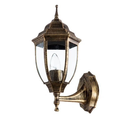 Уличный настенный светильник Arte Lamp PEGASUS A3151AL-1BN Уличный настенный светильник Arte Lamp PEGASUS A3151AL-1BN
