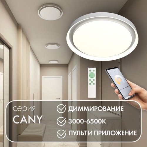 Накладной светильник Denkirs Cany DK6516-WH фото 4 Накладной светильник Denkirs Cany DK6516-WH фото 4