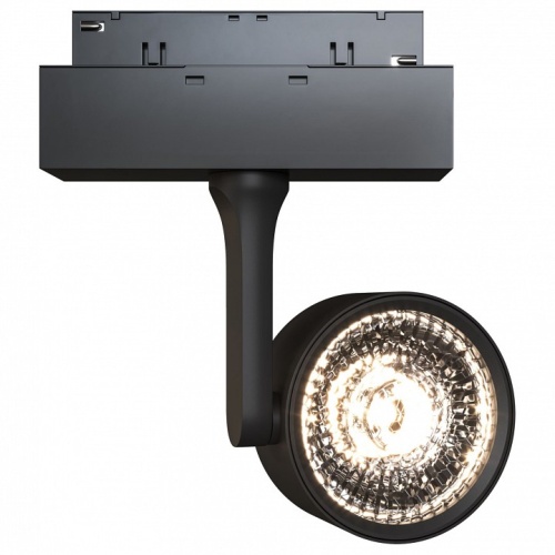 Светильник на штанге Maytoni Track lamps 3 TR024-2-10B3K фото 2